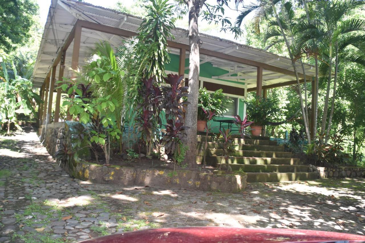 Hammock Plantation Apartamento El Zonte Exterior foto